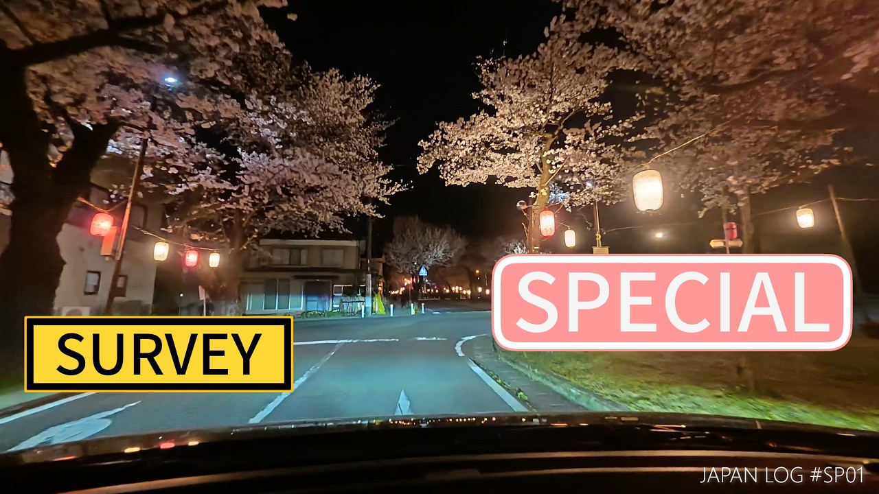 [SURVEY] Night Cherry Blossoms | Iida, Nagano, Japan