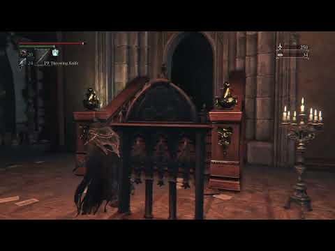 Bloodborne solo 14