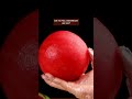 CAN YOU PEEL WATERMELON LIKE THIS Shorts Asmr Asmrvideo Asmrsounds Asmrfood Watermelon