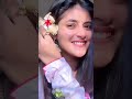 Top 40 Sanchita Bashu Old 90 S Songs Part 1