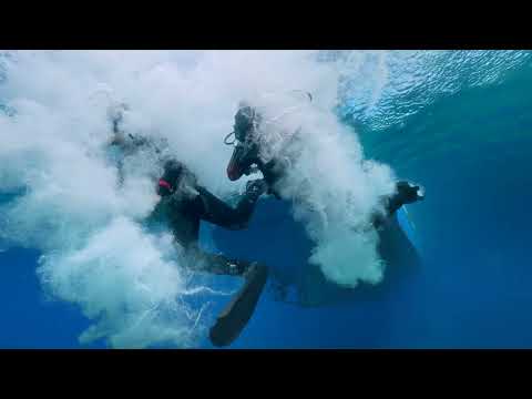 Bodrum'un Derin Mavisi - Türler / Dalış Noktaları (4K)