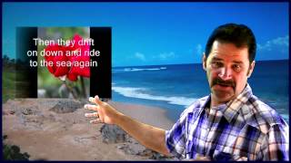 TWO TEARDROPS ~ Steve Wariner ~ Carl Holsher