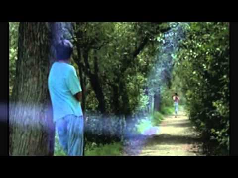 Val Doonican - Elusive Butterfly