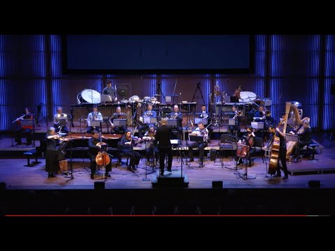 Michel van der Aa - Akin -- INSOMNIO cond. Ulrich Pöhl