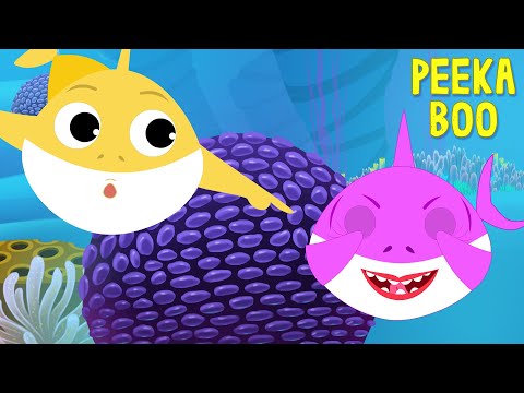 Peek A Boo Baby Shark + More Nursery Rhymes by FunForKidsTV Nursery Rhymes & Baby Songs