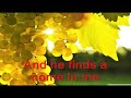 Fiona Apple - Pale September - Karaoke