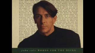 John Cale - There was a saviour