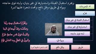 صورة 10 شرح ملح الناد للشيخ عامر بهجت