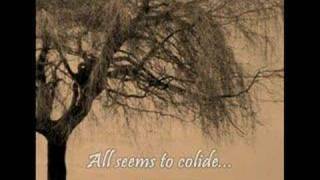 In The Dark - Shaman