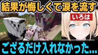 今回の感想を語り涙を流すいろは＆ぼたんちゃんの凄さ【ホロライブ切り抜き/風真いろは/白上フブキ/AZKi/獅白ぼたん】