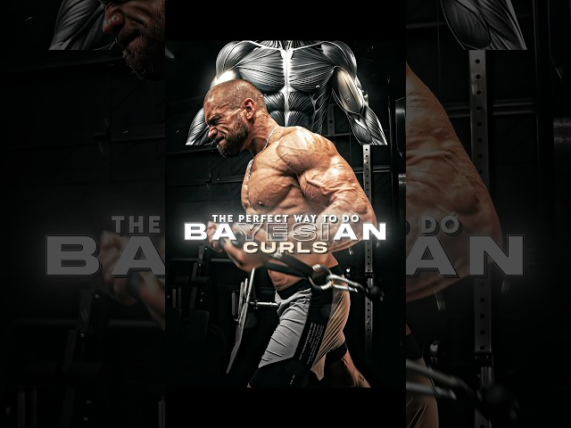 Bayesian Curl video thumbnail