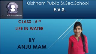 Download lagu EVS for class 5 lesson LIFE IN WATER... mp3