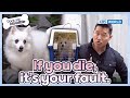If you die, it's your fault☹️ [Dogs Are Incredible : EP.219-3] | KBS WORLD TV 240514