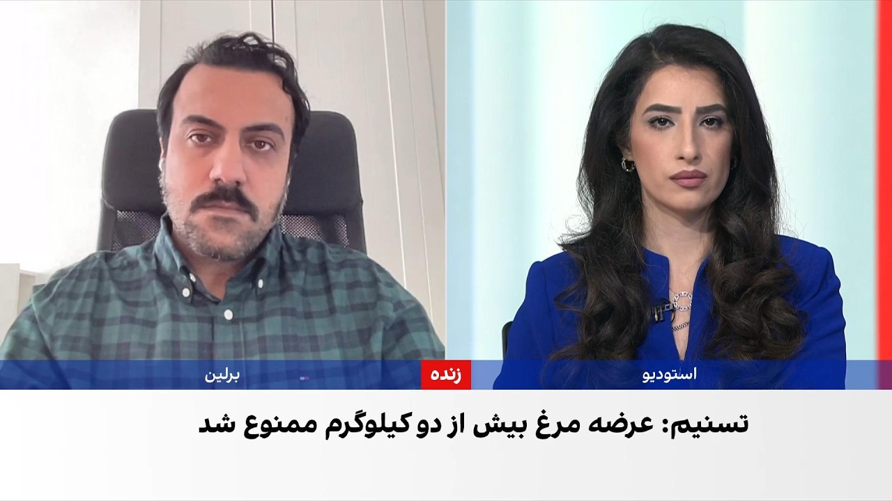 اشکان نظام‌آبادی: ممنوعیت عرضه مرغ سنگین ناشی از نگاه دستوری حکومت به اقتصاد