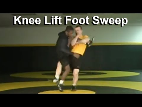 Knee Lift Foot Sweep Finish - Cary Kolat Wrestling Moves