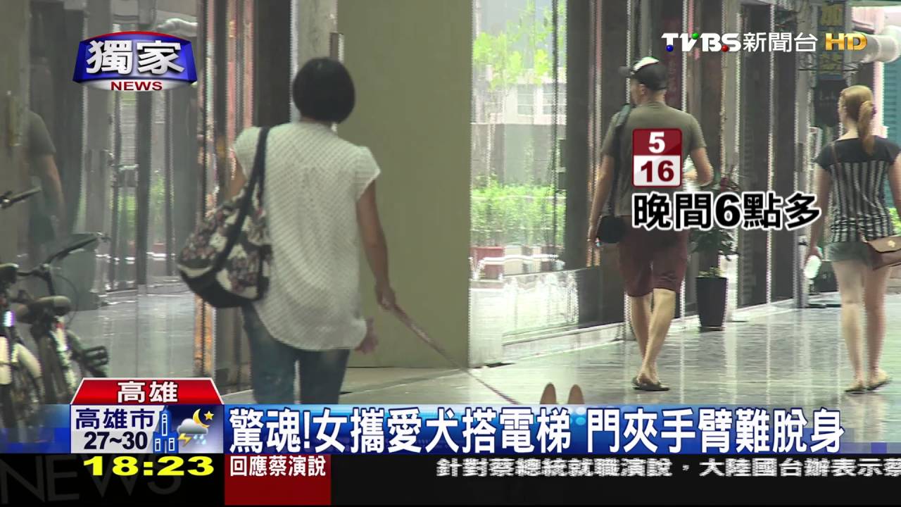 驚魂!女攜愛犬搭電梯 門夾手臂難脫身