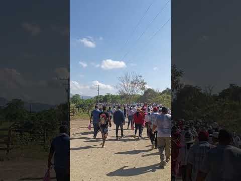 Santo Viacrucis Norosi sur de Bolívar #seguidores #viralvideo #semanasanta #catolico #viralvideo