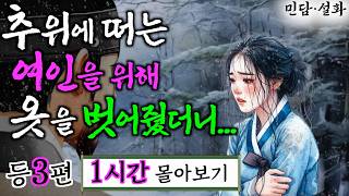 여우야담 몰아보기 '숲속에서 함께한 하룻밤' 등 3편 1시간 | 야담·민담·전설·설화·옛날이야기