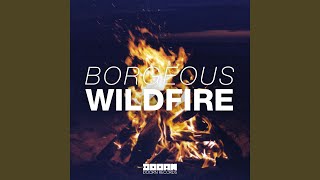 Wildfire (Original Mix)