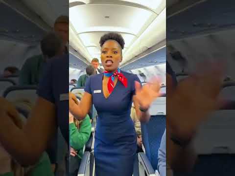 One Loyal    Dog Saved Hundreds of lives