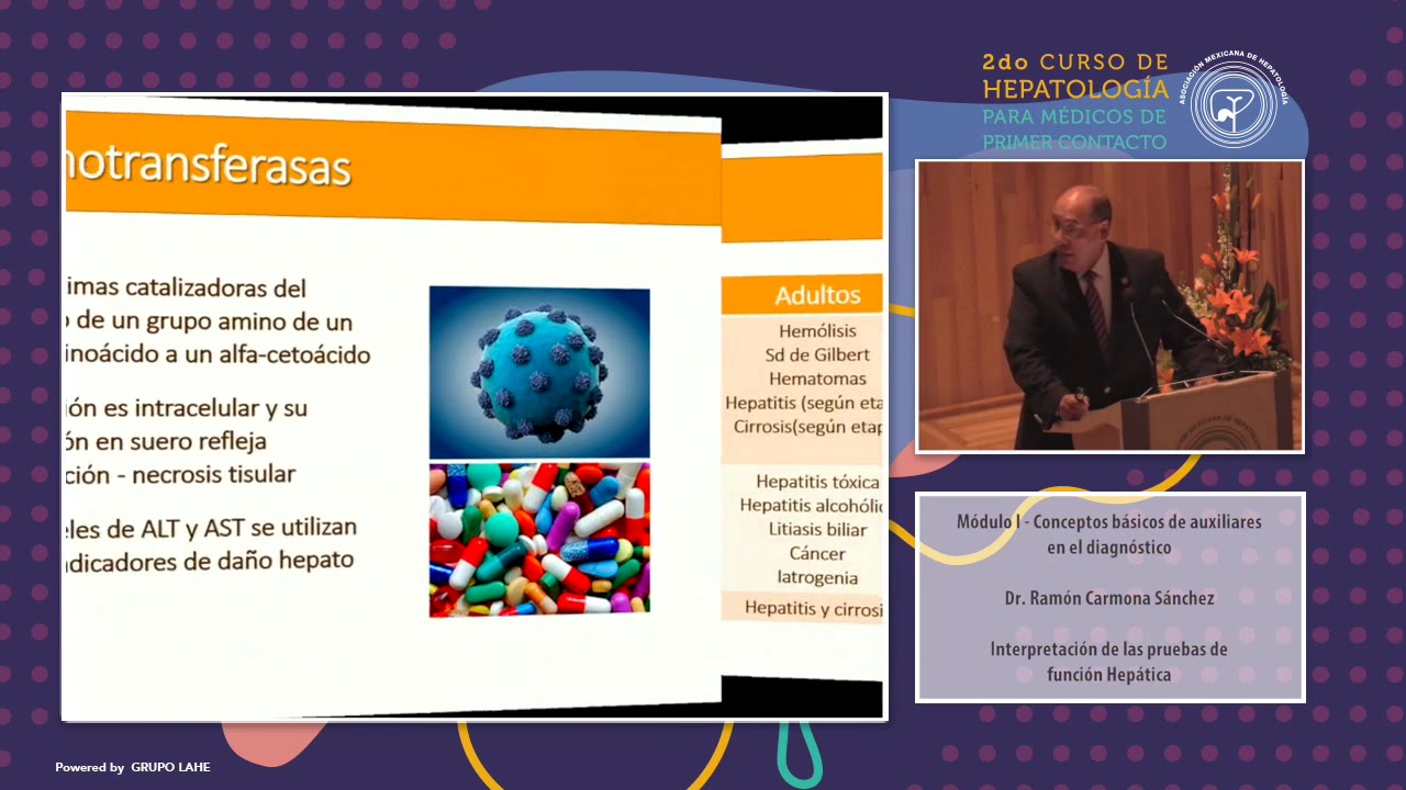 Módulo I -Interpretación de la pruebas de función hepática
