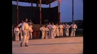 preview picture of video 'Dimostrazione di Karate alla festa degli alpini di calcio'