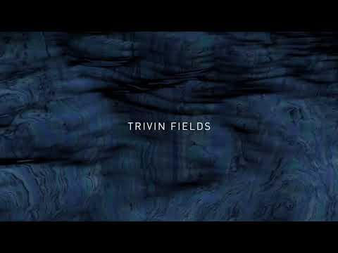 download lagu mp3 mp4 Dario Zenker Trivin Fields, download lagu Dario Zenker Trivin Fields gratis, unduh video klip Download Dario Zenker Trivin Fields Mp3 dan Mp4 Unlimited Gratis