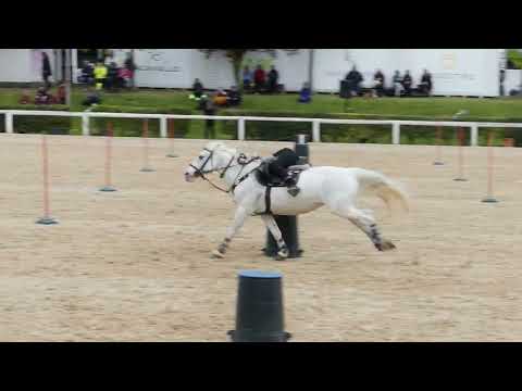 mounted games - Italian Individual Championships 2022 - Rebecca e Apache