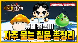 초보자 FAQ - 재화·사냥터·스탯