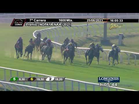 230625 c07 RAPATOUCH