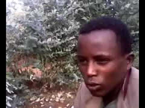 New oromo music 2020