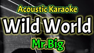 Download lagu [Acoustic Karaoke] Mr.Big - Wild World mp3