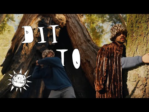 Aries - DITTO [live version]