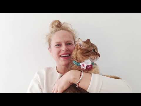 Bloomin' cute! - Cherry Blossom Cat Headband/Collar