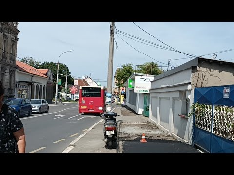 Јавни превоз Београда #1