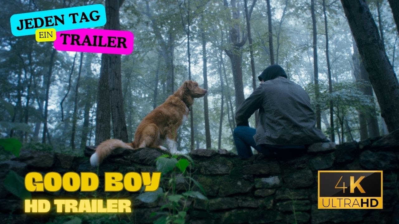 Good Boy - Trust His Instincts