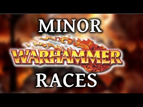 Minor Factions of Warhammer Fantasy Explained!