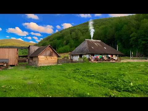 5 Days in Nature’s Embrace | Far from Modern Life