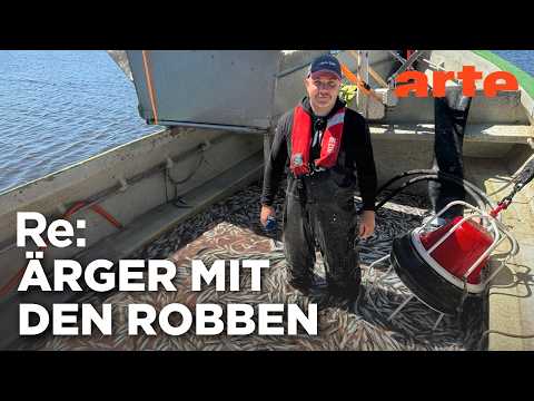 Video Thumbnail: Fischer gegen Robben | ARTE Re:
