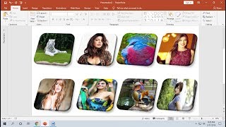 How to Resize All Images to Same Size in PowerPoint (All Picture to Equal Size)
