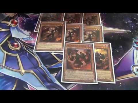 Yugioh 9/10/2016 Lenexa, KS Regional 2nd Place Deck Profile - Burning Abyss - Conner Walden
