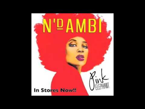 N'Dambi - Pink Elephant (Album Sampler)