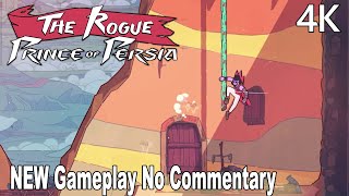 The Rogue Prince of Persia Gameplay Walkthrough No Commentary 4K
