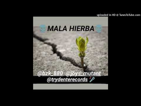 ☠️MALA HIERBA☠️ - BZK X JOYS