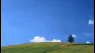 The Listening Pool - Somebody Somewhere