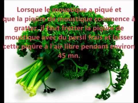 comment soulager piqures de moustiques