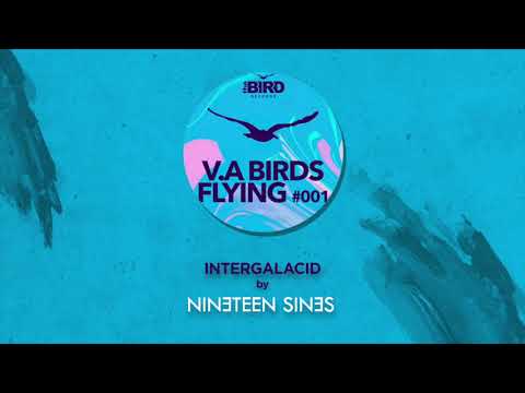 NINETEEN SINES - INTERGALACID