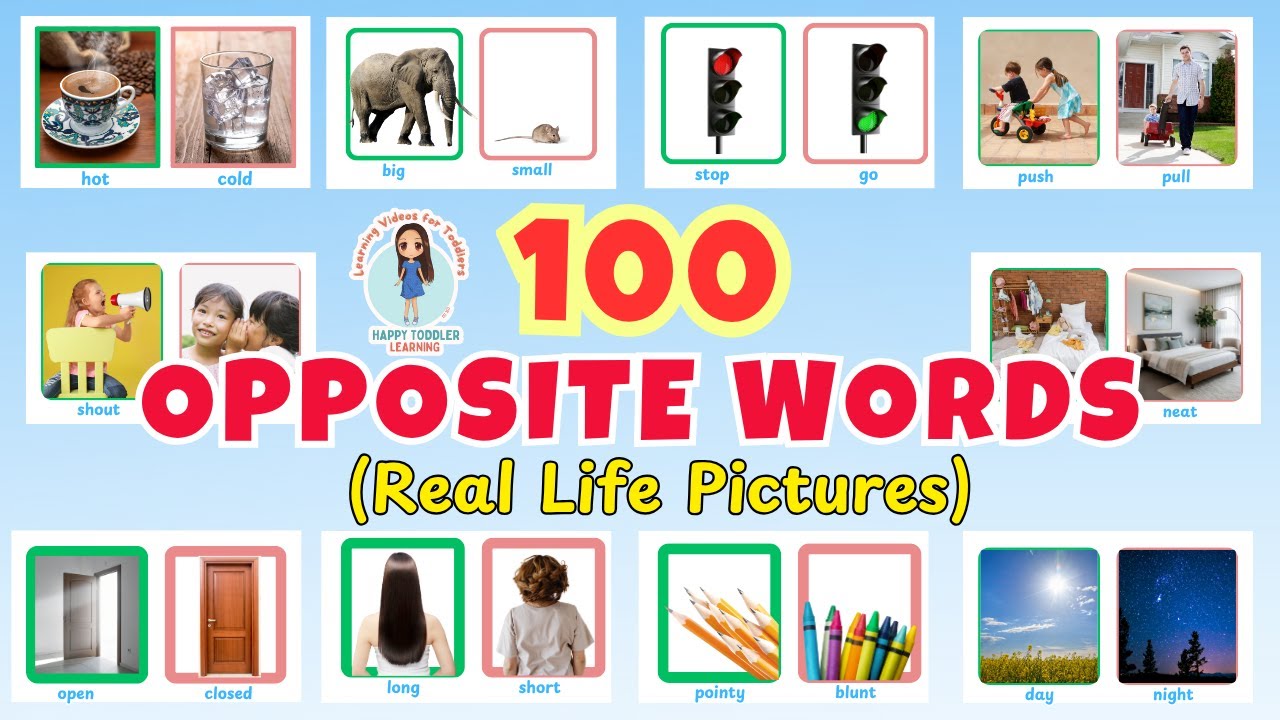 100 OPPOSITE WORDS for Kids | Opposites English Vocabulary for Beginners | Educational Video Toddler