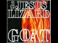 jesus lizard--lady shoes