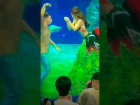 underwater dance mermaid merman - choreography mermaid love story#shorts